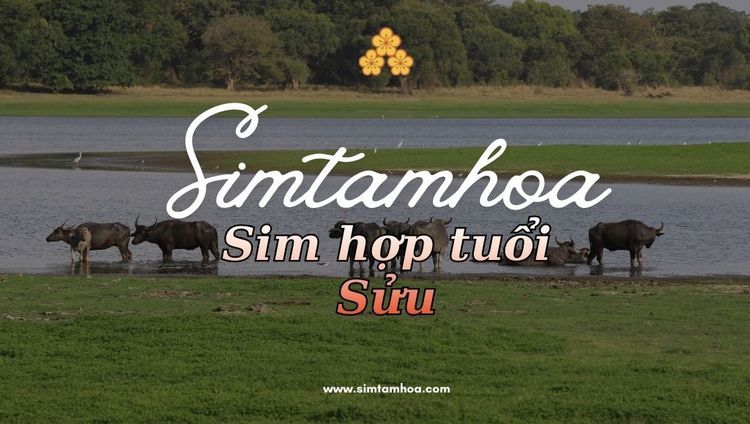 Sim Hợp Tuổi Sửu: Cách Chọn Theo Năm Sinh, Ngũ Hành