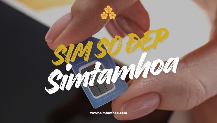 Sim Số Đẹp Trong Kinh Doanh, Cách Chọn Số Hotline