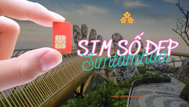 Top Cách Mua Sim Số Đẹp Tại Đà Nẵng Phù Hợp Nhu Cầu