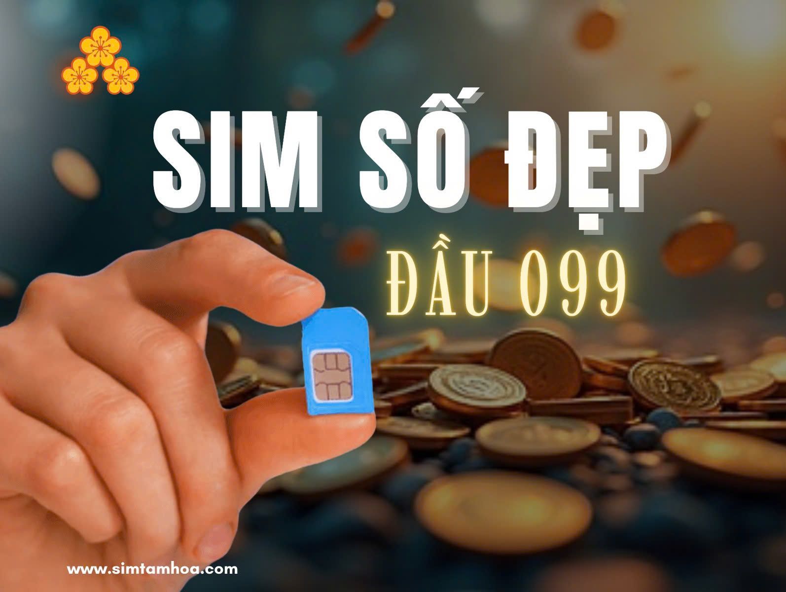 099 là mạng gì? Chất lượng mạng có tốt không?