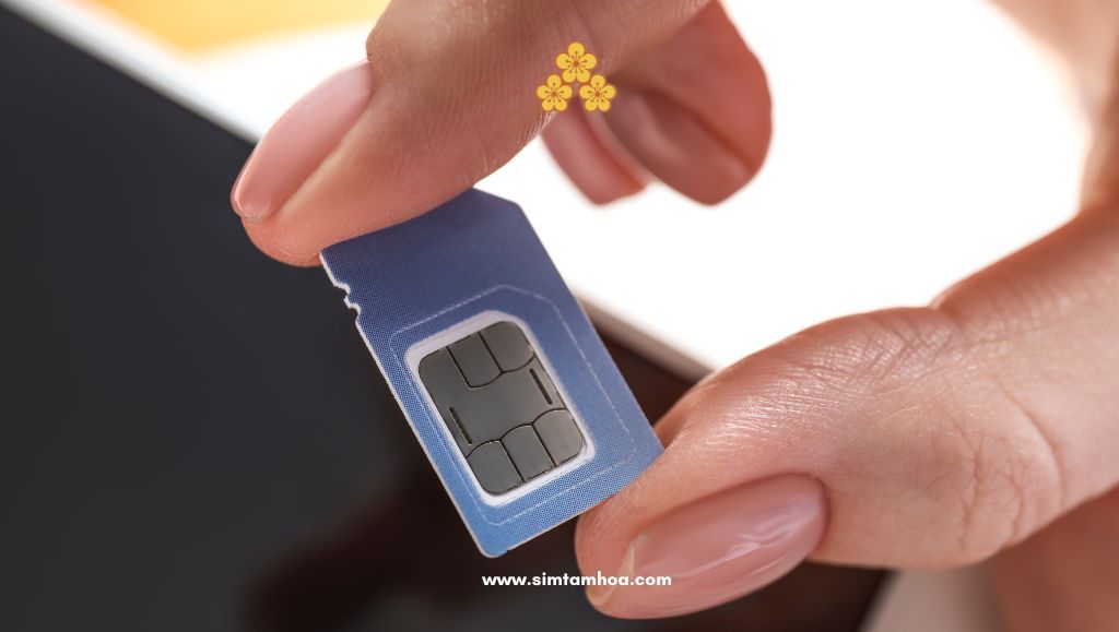 simtamhoa-huong-dan-chon-sim-hop-tuoi-ty.jpg